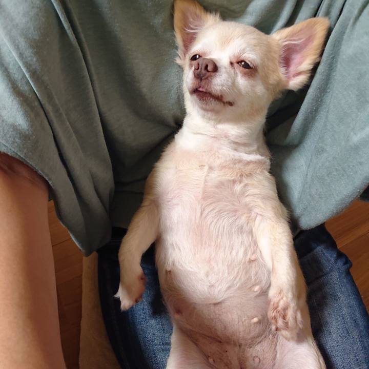 6f19b1d4 cb1e 4b80 82bc caea90adfa35 1565009543735