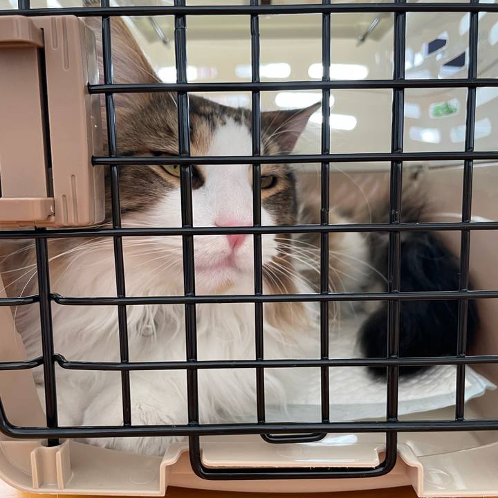 6f19feb7 6726 4fa9 836f b6bcc8cfdafb 1644802729420