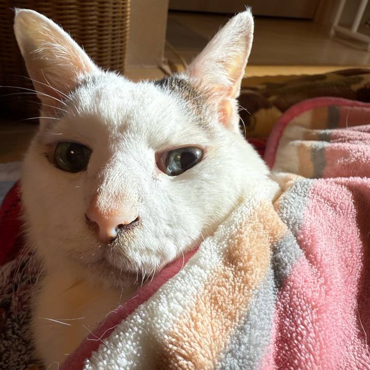 6f1a062b 187e 402e 98d9 68dbddd584c7 1765078009597