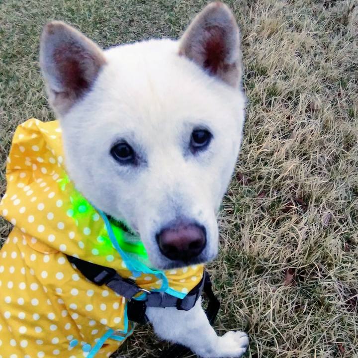 6f1a375d 2103 426a b17e 8c1d609b3175 1524480945424