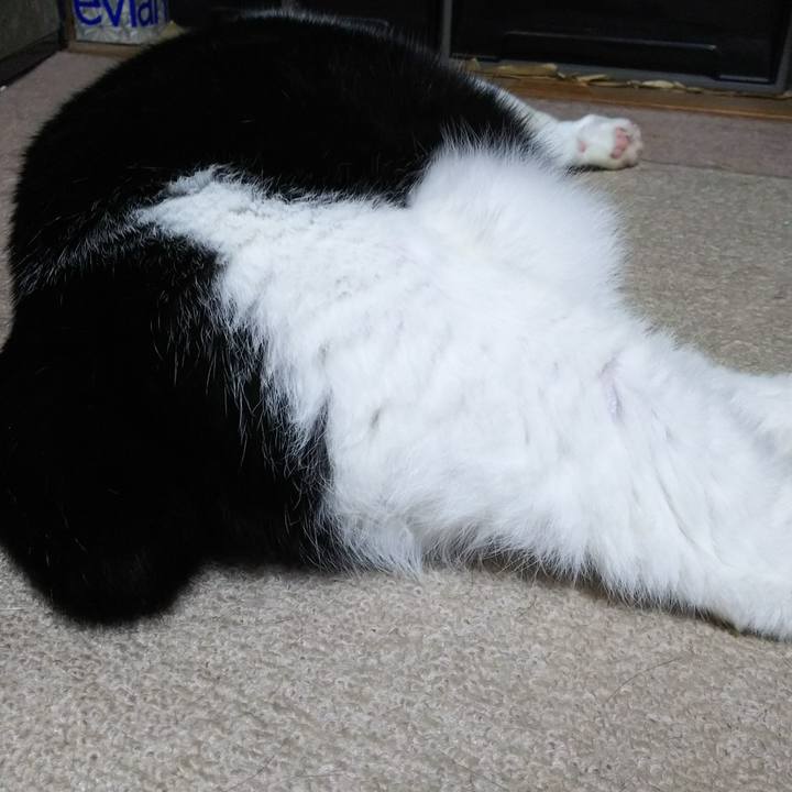 6f1a6b5b 02cb 4271 86f1 f4e3d4762585 1534974367245