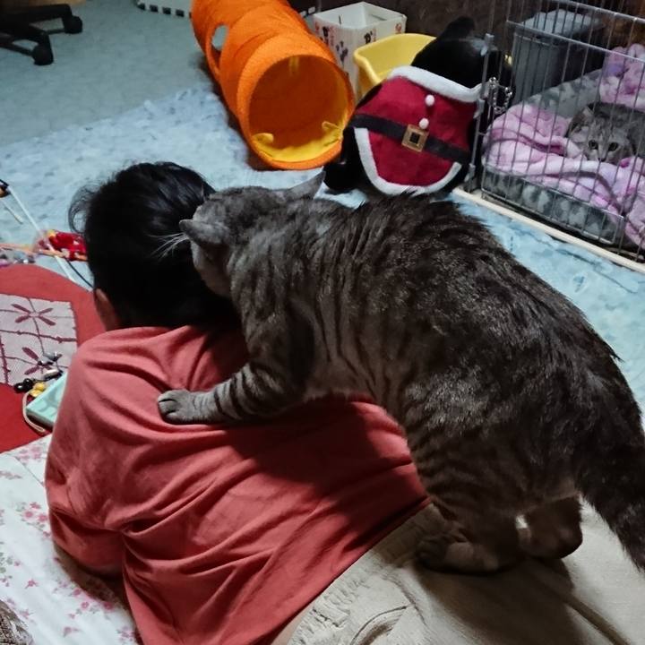 6f1ab789 7663 485b 8ac2 ef5aa2389718 1565873378224