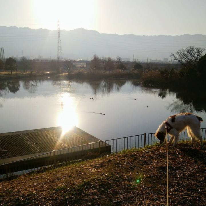 6f1ad341 0228 4f08 9add f24e903be9f6 1551053474048