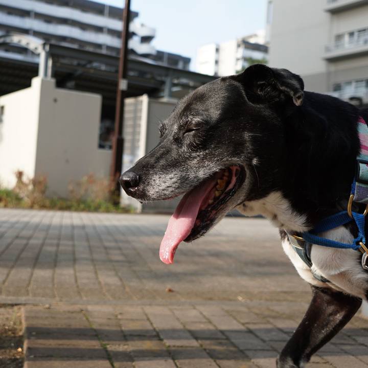 6f1ad783 30a8 4eb3 b82c 6defac01868d 1757461466280