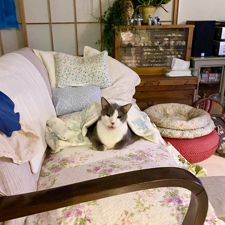 6f1aee9b 6744 455e 9e97 9d6cc2e57861 1758539978219