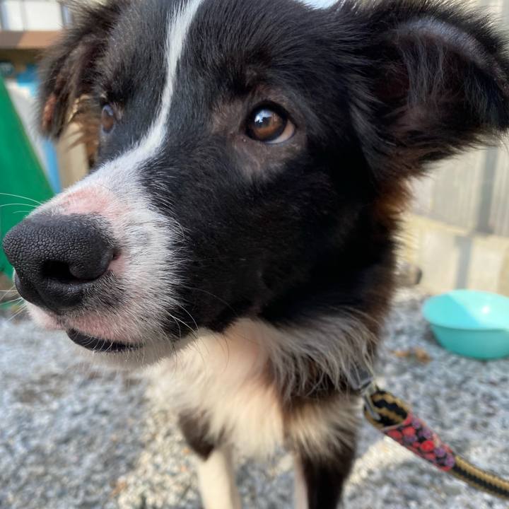 6f1b34a0 ace7 4066 a71a f8c08c791ca7 1637024273301