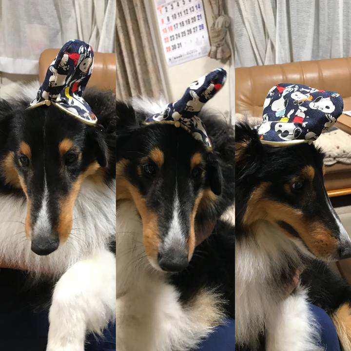 6f1b3a57 4aaf 4ec6 acc7 d89542b54405 1531005645370