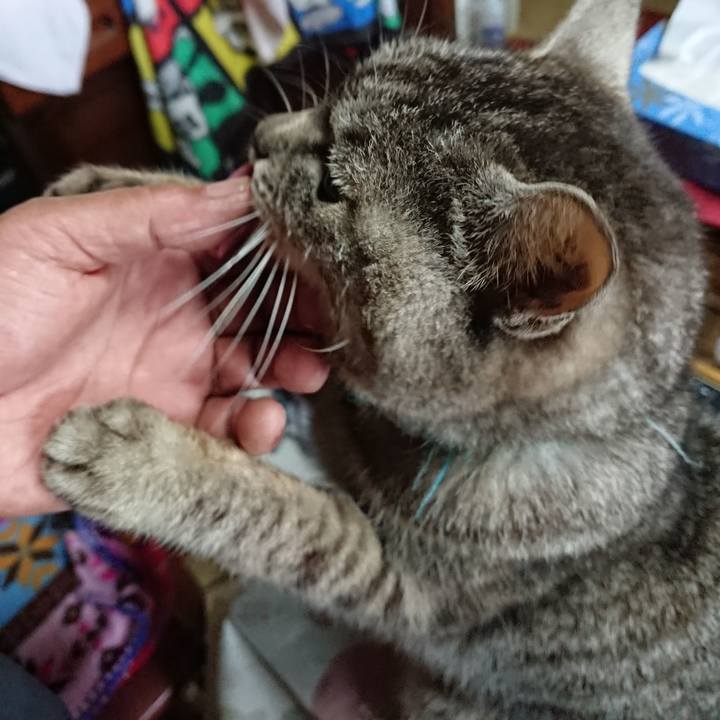 6f1b72c9 4bdc 42cb 9a21 7f8165e20bc3 1553324827523