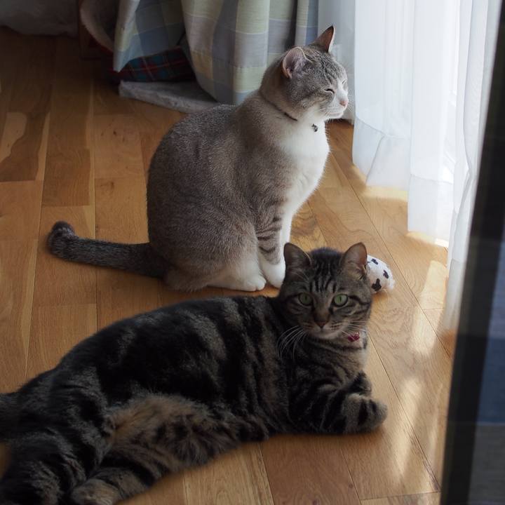 6f1b7be1 f704 4240 9a12 9a53c455f014 1590281011395