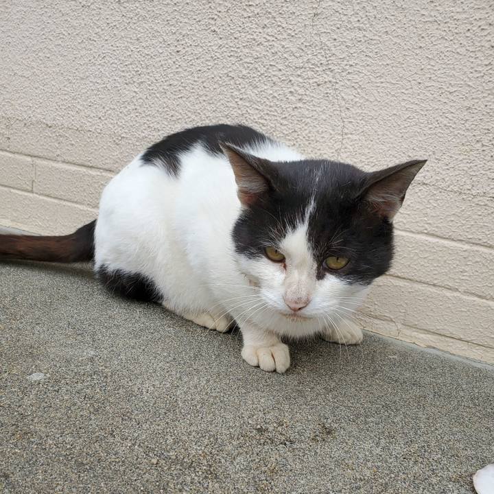 6f1b8eb7 aae8 48a4 a106 3549ff048b95 1699895389699