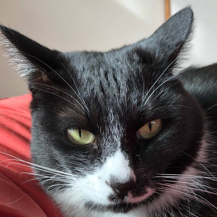 6f1b9d6e 5874 4ee3 b9db d3cbc69f8334 1638762063234