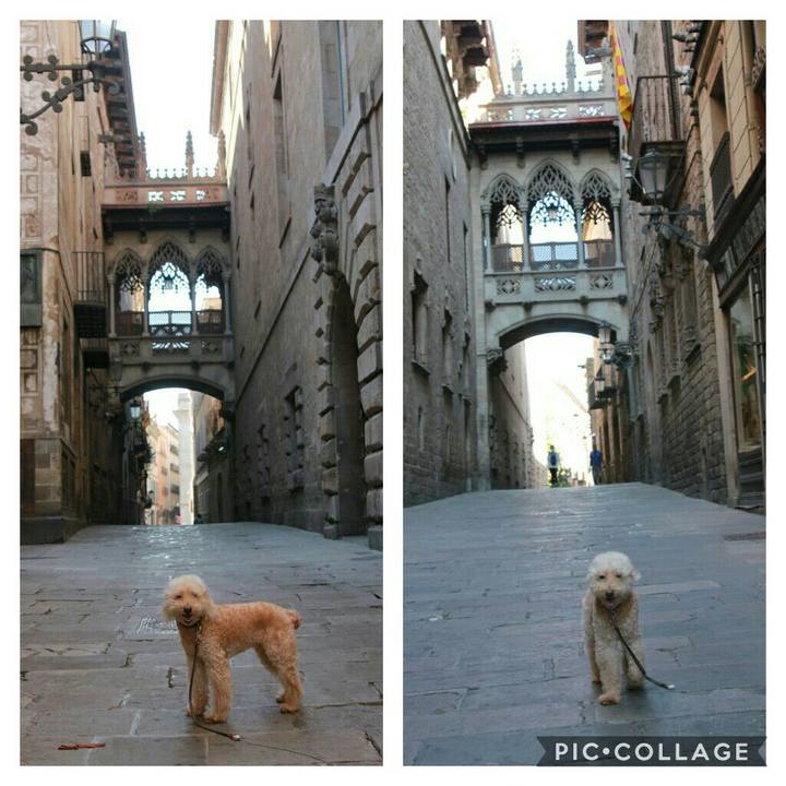 6f1ba6b5 0f76 4c6b ae7e 44b1ea0955a9 1594295427281