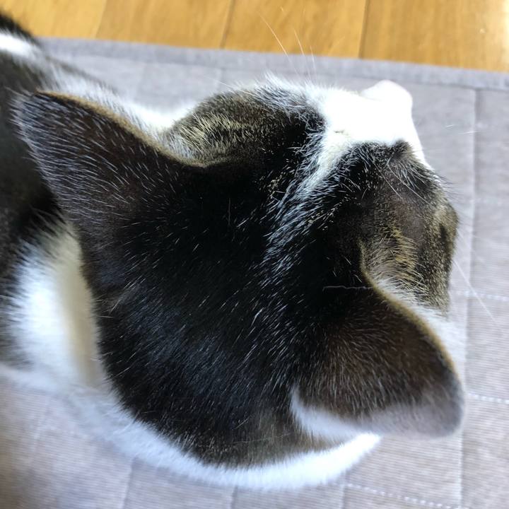 6f1bb56d c0e2 405a ba02 e7b2ce70298b 1644497493018