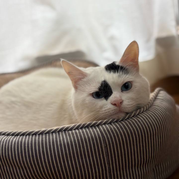 6f1c0c6c 085b 4511 814c 33b4fd4457c5 1762663312162