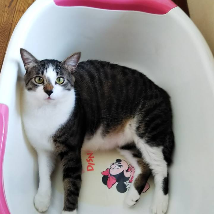 6f1c20ec 4c7e 4bf4 b16b 331bcf976f5d 1604409044055