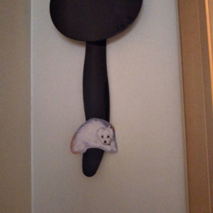 6f1c2de1 b4f3 41bc b0fb b541d0c8e5eb 1547168075203