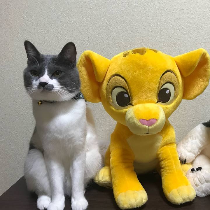 6f1c35f4 f951 467d 80e5 d1fd9500eb11 1677075410917