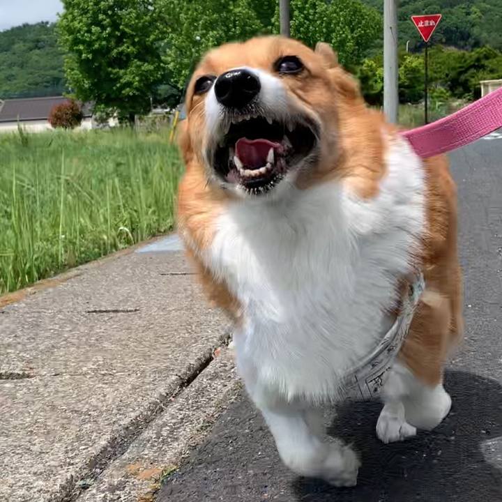 6f1c469e 4ccb 4c16 ab2e 2cb067c10f8d 1651888562451