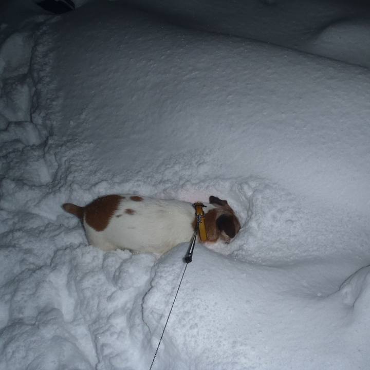 6f1ce17f 7100 44e8 a115 9db1bd99456d 1516876622194