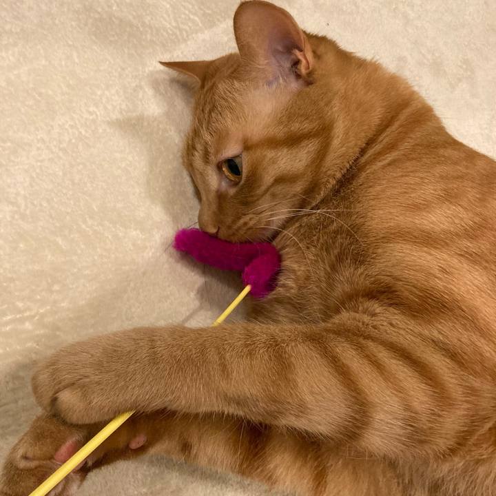 6f1d19b8 1f10 4a93 b90b 09a5b74741da 1620387226133