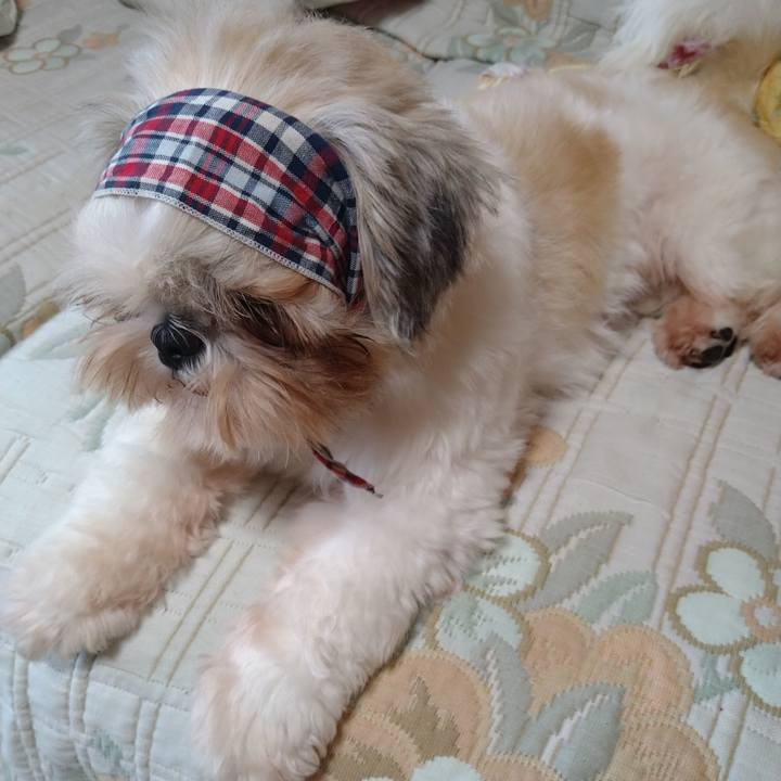 6f1d1ceb b88d 46f6 b757 2aa596e8fc24 1603248462504