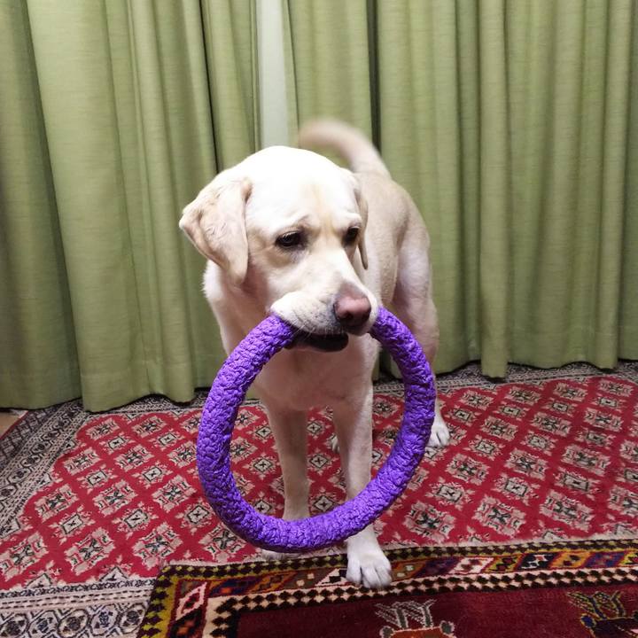 6f1d4ebf 6b43 4979 bf1a 8297f57c693a 1573040772141