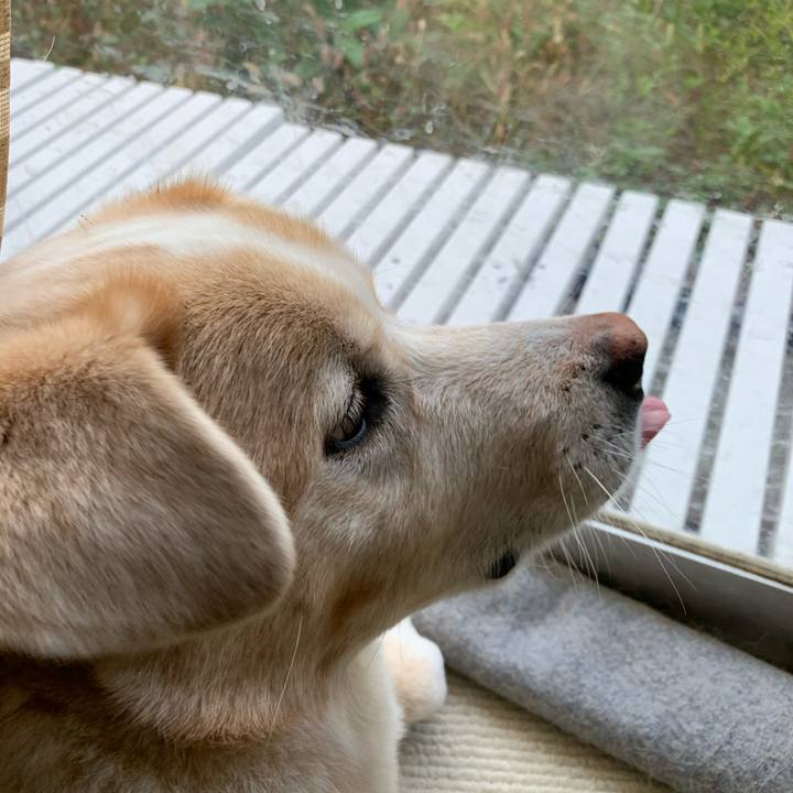 6f1d8605 2c8c 4e47 b7cb f20a7f620438 1604233808894