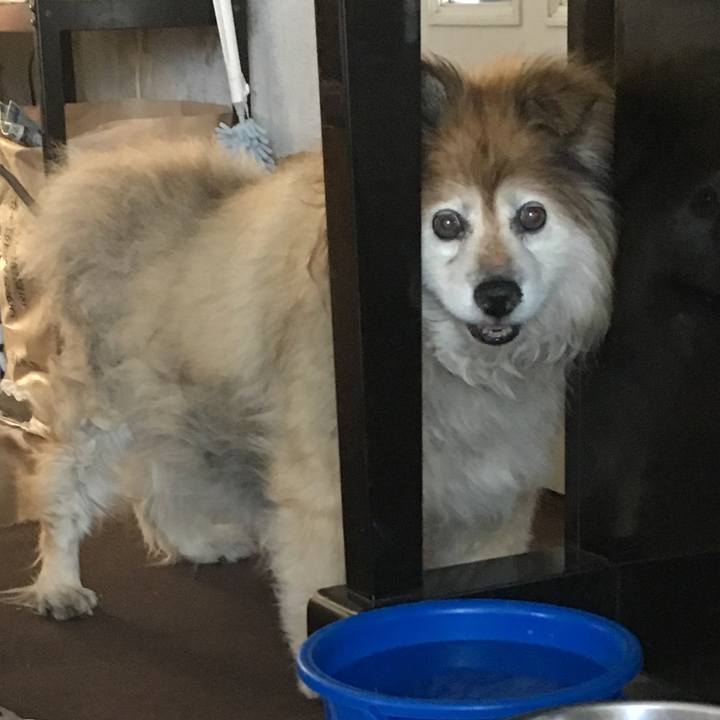 6f1d9bfb 2cfd 483b a6a8 b7309122269a 1556627016204