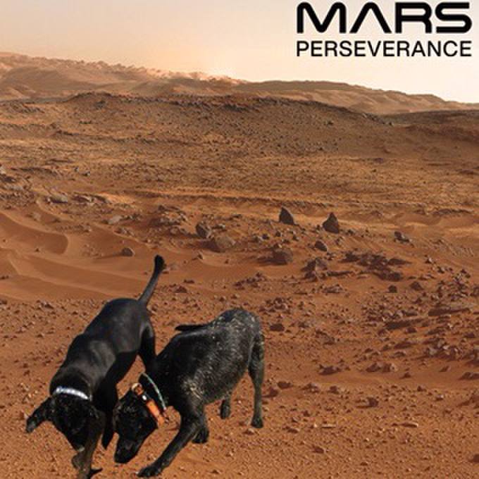 6f1db6f4 e972 49c5 baef 8229eebcf3c0 1613914678068