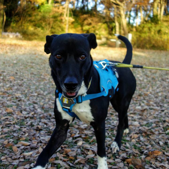 6f1dc74c cbf4 4dc7 852d 4b555426348b 1608337350434