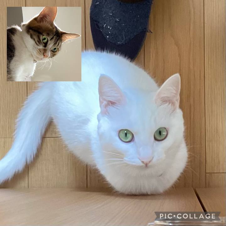 6f1dcfe3 dca7 48b3 98e0 fe17439b8b37 1700042321556