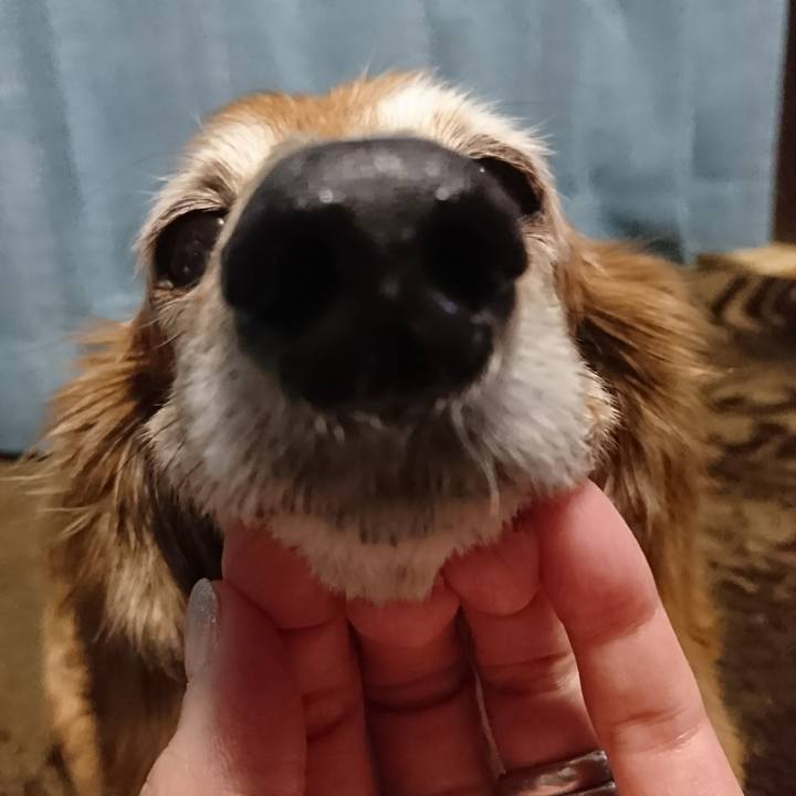 6f1e0212 e128 4f99 b6e9 21c46d19d127 1518303034319