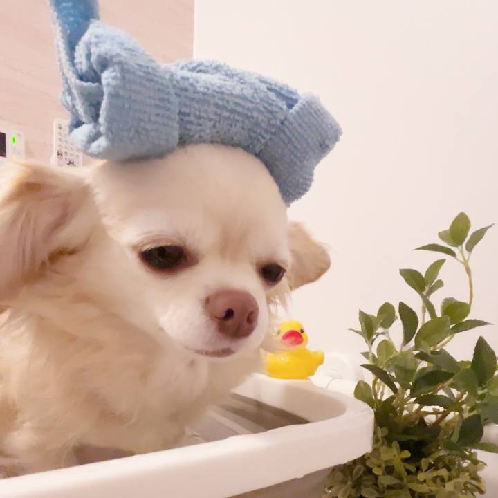 6f1e4cd5 cd01 4a7f 8dc8 d922b9c11ae4 1739021066761