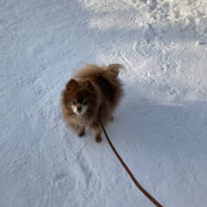 6f1e5050 ee10 47b7 8d2a 14a65fc4cab0 1644474958951