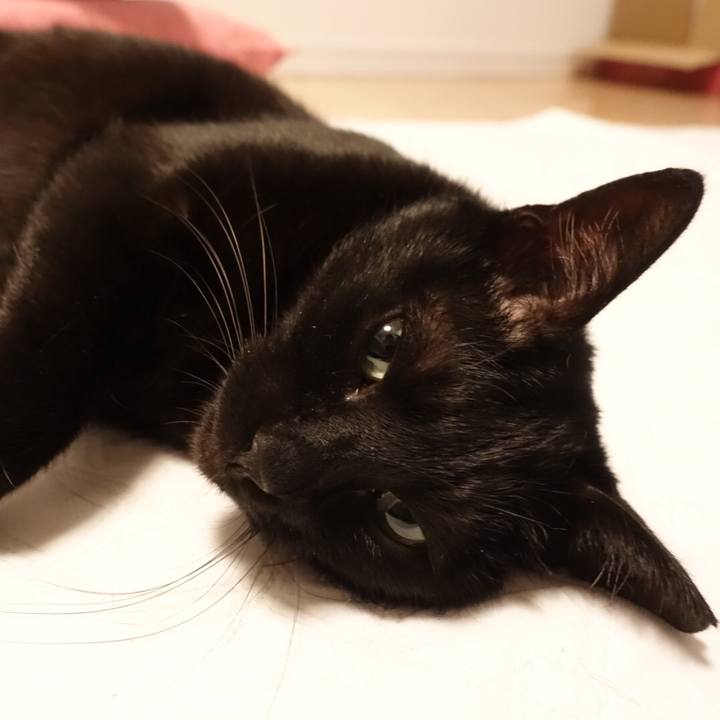 6f1e6a6e 5339 4bdc 8a14 6707c0682628 1519308441273