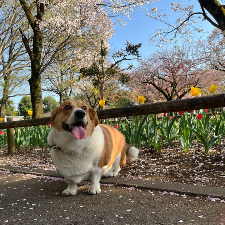 6f1e7843 d679 4da2 b251 c2d41e7f5bbf 1650154122200