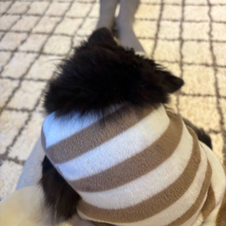 6f1e7cbc e0bd 4cf6 a74d c8c516070af4 1739722649362