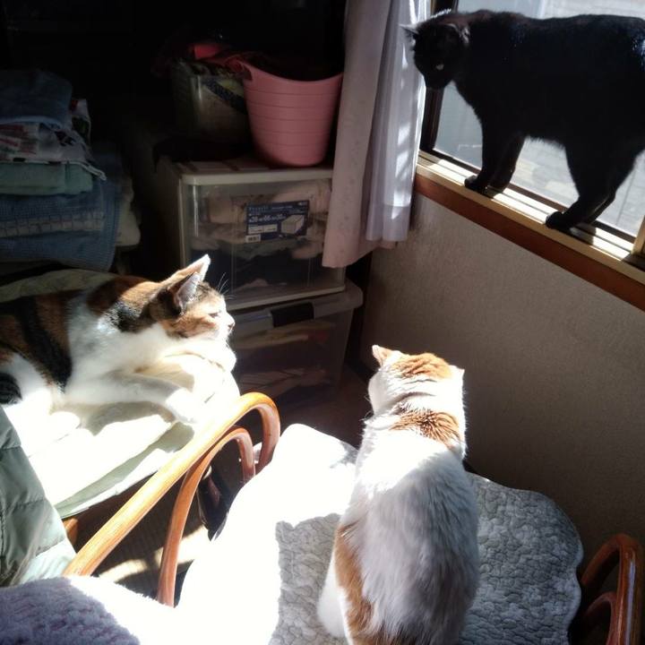 6f1e8bc8 5f3e 4c1e 97e5 c653b7154609 1585539853767