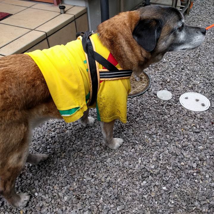 6f1eba65 bfc0 4872 a45f 23989d9bf858 1519863783385