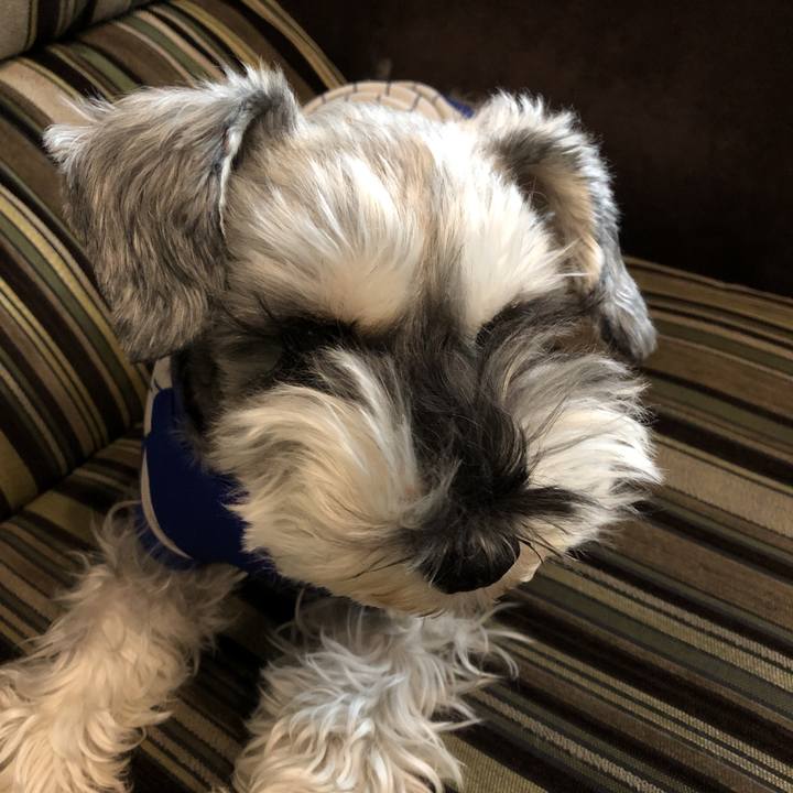 6f1ebb8e e892 4216 a9de 3cbcf7646677 1575611497534