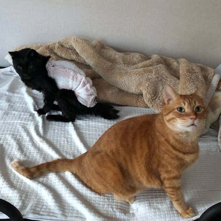 6f1f0295 aedf 4802 961f cb89e6b8048d 1646773993843