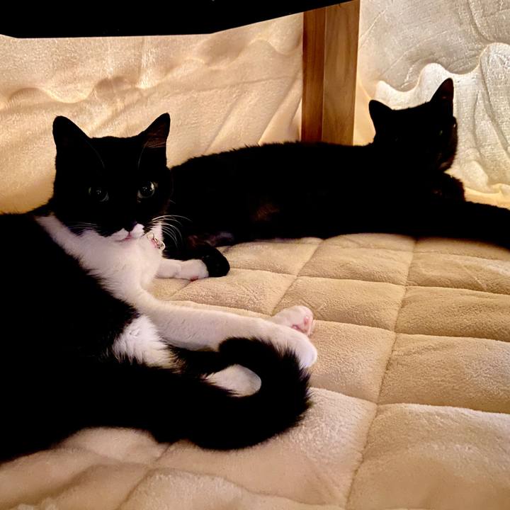 6f1f27d8 59c7 422c bdb0 957b89ad981b 1635119323907