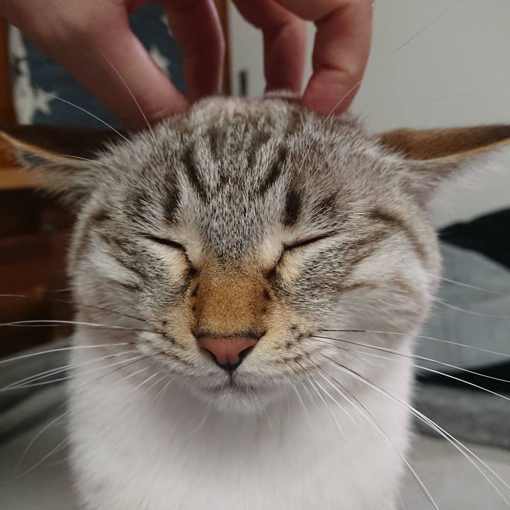 6f1fac90 796c 4d00 b057 4ffb3c23ef81 1578525822602