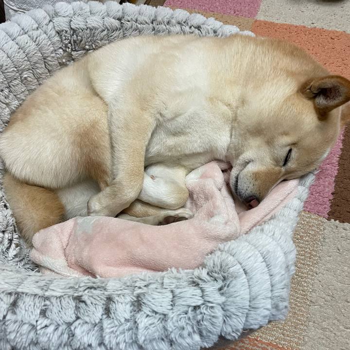 6f1fda93 8e4a 4cca 9a57 ff5434322dc2 1674302735060