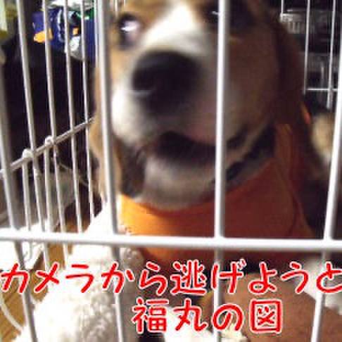 6f200340 a955 4720 9791 3e2808886c82 1701832969980