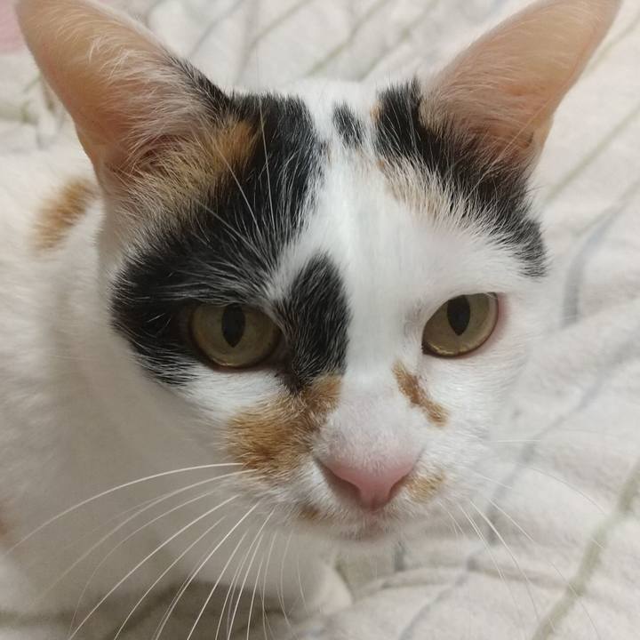 6f2012ad 52a3 4a30 86ef ccaf89da1eb2 1606135124628