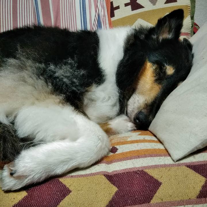 6f201b77 3dfb 4089 a87f 5bd4aa1c67f9 1507898919228