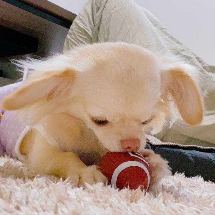 6f2043b8 c3fa 44a7 9638 775153417b49 1625807021224