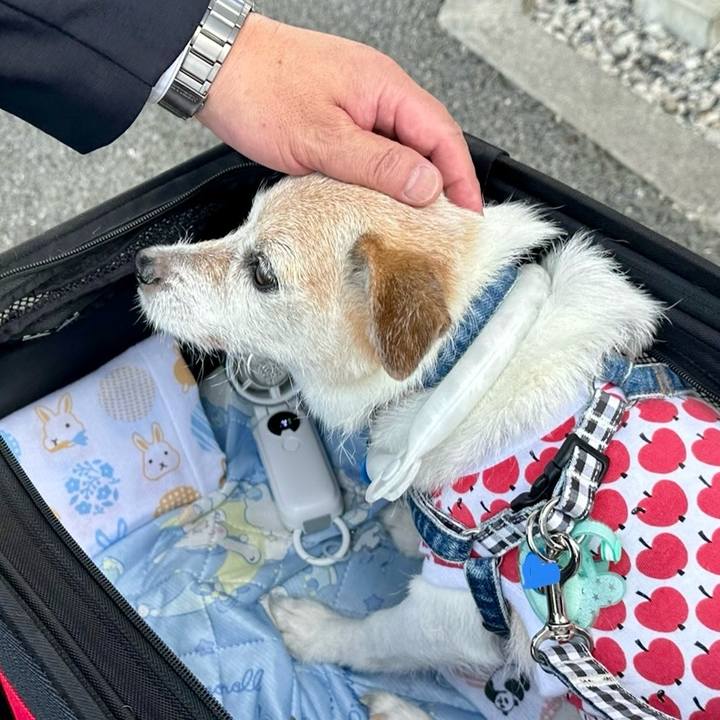 6f205fbb 7b77 4d3e b72d e2e534760824 1753147223581