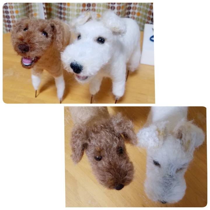 6f208628 6d19 4a06 9be4 a21c4bfec8ee 1579356153581